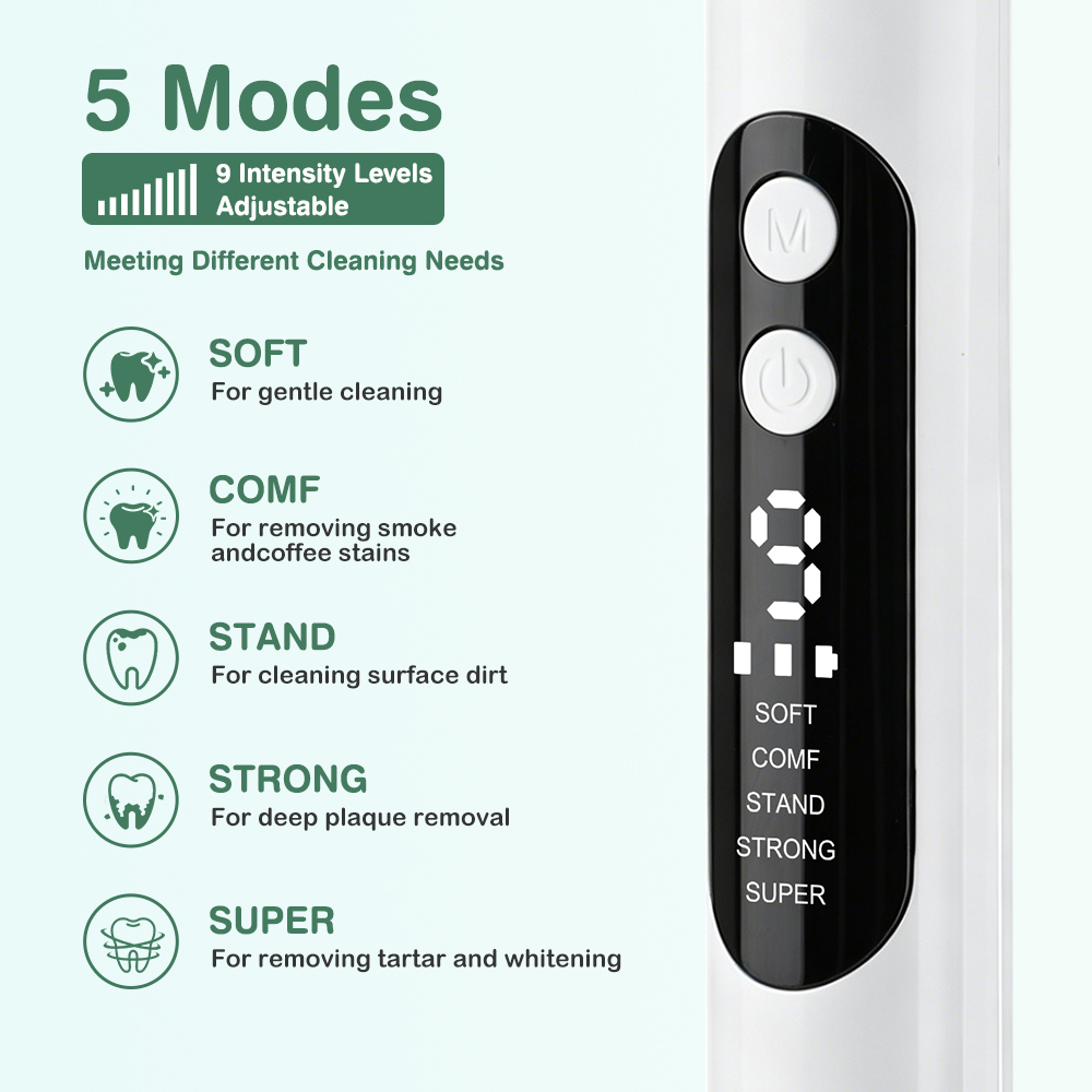 電動歯クリーナー超音波歯科スケーラー 5 LED ライト付き - Power Tools Universal Battery のレビューと価格